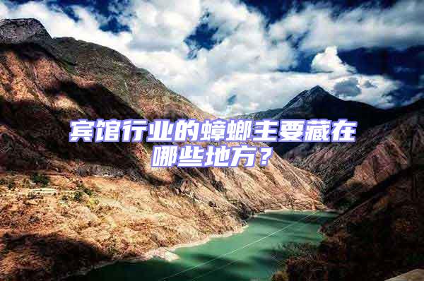 賓館行業(yè)的蟑螂主要藏在哪些地方？