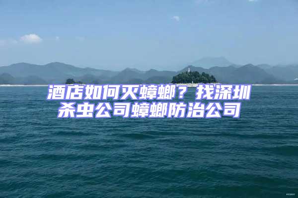 酒店如何滅蟑螂？找深圳殺蟲公司蟑螂防治公司