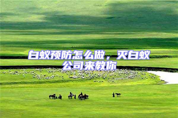 白蟻預(yù)防怎么做，滅白蟻公司來教你