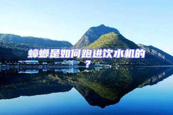 蟑螂是如何跑進(jìn)飲水機(jī)的？