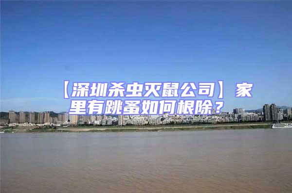 【深圳殺蟲滅鼠公司】家里有跳蚤如何根除？