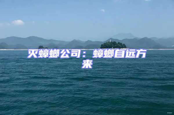 滅蟑螂公司：蟑螂自遠方來