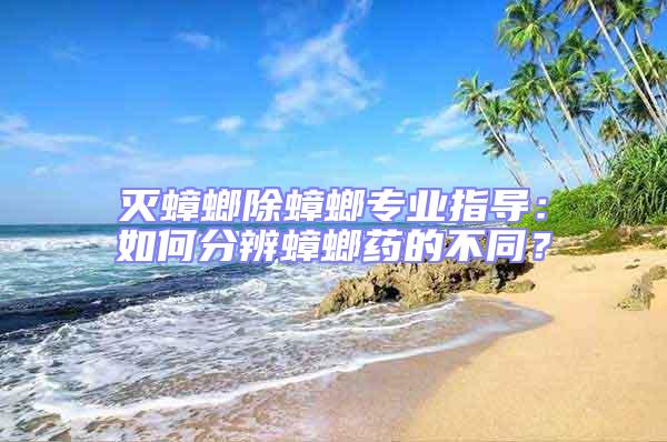 滅蟑螂除蟑螂專業指導：如何分辨蟑螂藥的不同？