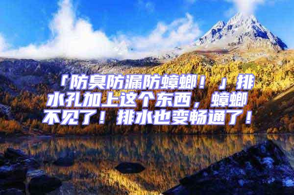 「防臭防漏防蟑螂！」排水孔加上這個東西，蟑螂不見了！排水也變暢通了！
