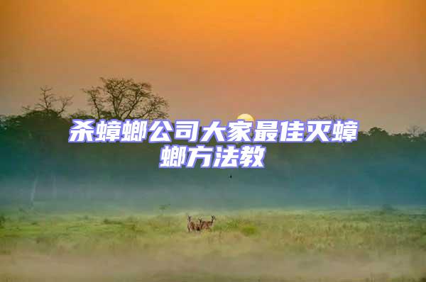 殺蟑螂公司大家最佳滅蟑螂方法教