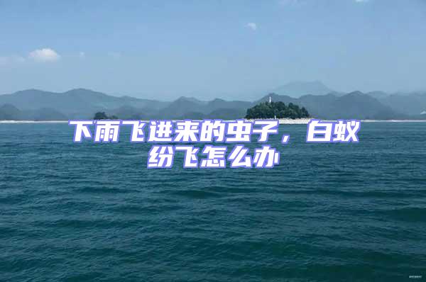 下雨飛進來的蟲子，白蟻紛飛怎么辦