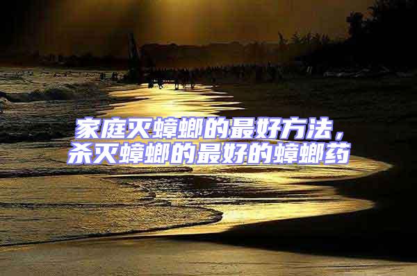 家庭滅蟑螂的最好方法，殺滅蟑螂的最好的蟑螂藥