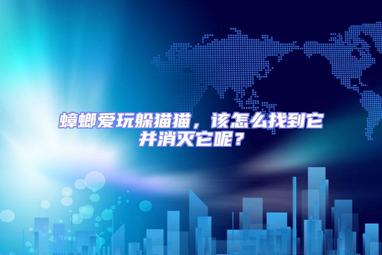 蟑螂愛(ài)玩躲貓貓，該怎么找到它并消滅它呢？