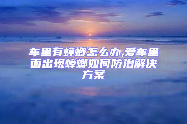 車里有蟑螂怎么辦,愛車里面出現(xiàn)蟑螂如何防治解決方案
