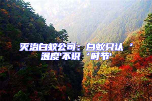 滅治白蟻公司：白蟻只認‘溫度'不識‘時節'