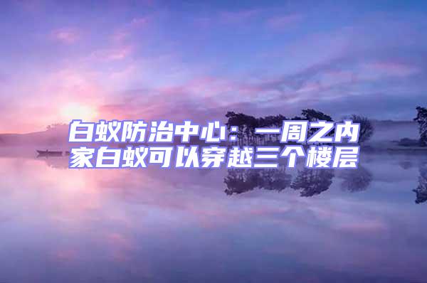 白蟻防治中心：一周之內(nèi)家白蟻可以穿越三個樓層