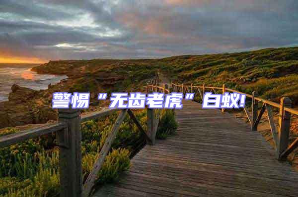 警惕“無(wú)齒老虎”白蟻!