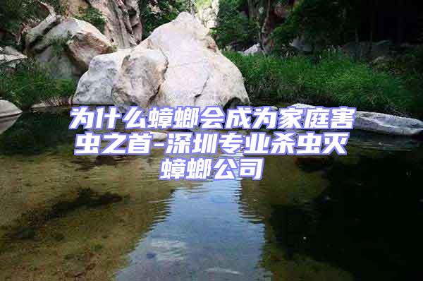 為什么蟑螂會(huì)成為家庭害蟲之首-深圳專業(yè)殺蟲滅蟑螂公司