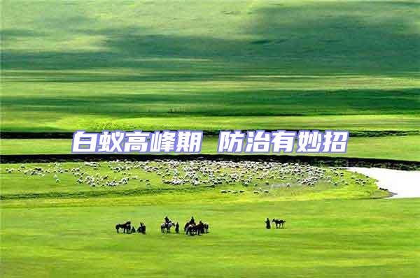 白蟻高峰期 防治有妙招