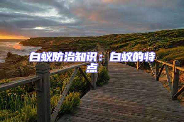 白蟻防治知識：白蟻的特點