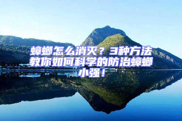 蟑螂怎么消滅？3種方法教你如何科學的防治蟑螂小強！