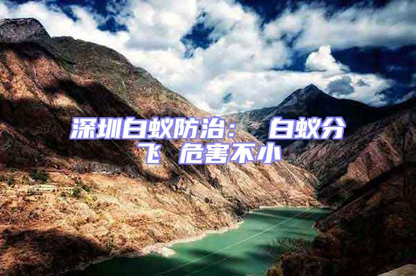 深圳白蟻防治： 白蟻分飛 危害不小