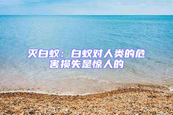 滅白蟻：白蟻對(duì)人類(lèi)的危害損失是驚人的