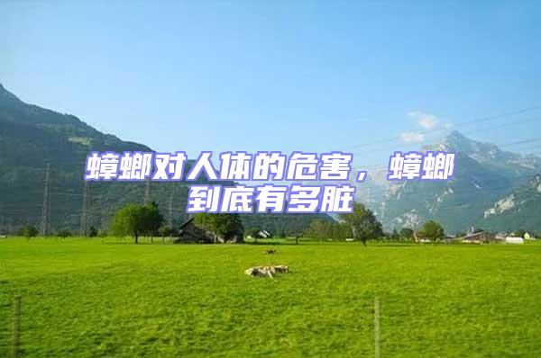 蟑螂對人體的危害，蟑螂到底有多臟