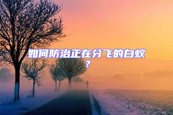 如何防治正在分飛的白蟻？