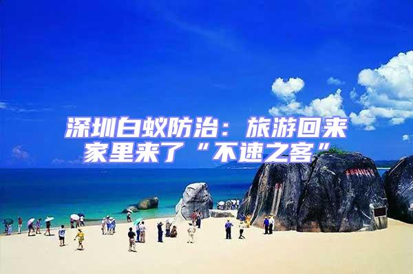 深圳白蟻防治：旅游回來家里來了“不速之客”