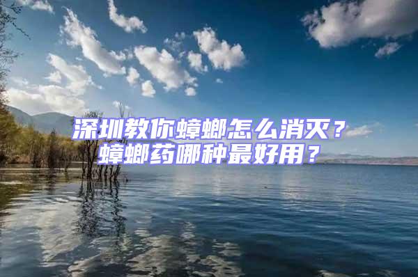深圳教你蟑螂怎么消滅？蟑螂藥哪種最好用？