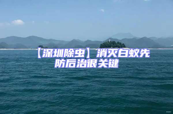 【深圳除蟲(chóng)】消滅白蟻先防后治很關(guān)鍵