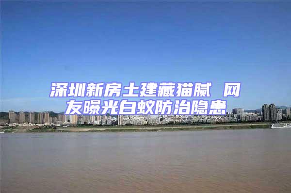 深圳新房土建藏貓膩 網友曝光白蟻防治隱患