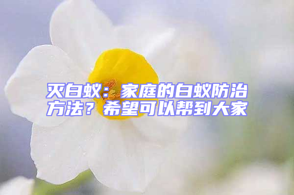 滅白蟻：家庭的白蟻防治方法？希望可以幫到大家