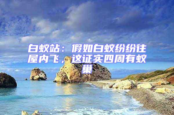 白蟻站：假如白蟻紛紛往屋內(nèi)飛，這證實(shí)四周有蟻巢