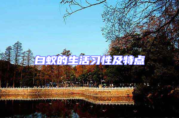 白蟻的生活習性及特點