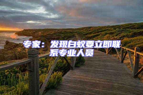 專家：發現白蟻要立即聯系專業人員