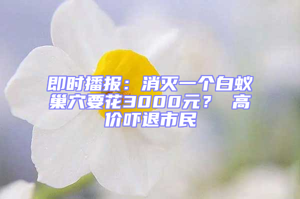 即時播報：消滅一個白蟻巢穴要花3000元？ 高價嚇退市民