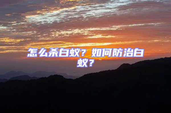 怎么殺白蟻？如何防治白蟻？