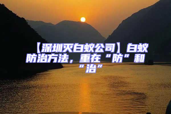 【深圳滅白蟻公司】白蟻防治方法，重在“防”和“治”