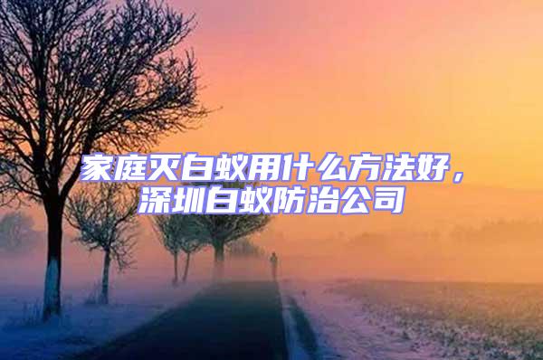 家庭滅白蟻用什么方法好，深圳白蟻防治公司