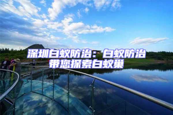 深圳白蟻防治：白蟻防治帶您探索白蟻巢