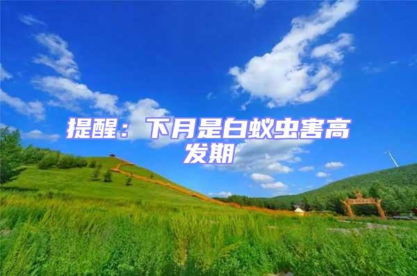 提醒：下月是白蟻蟲(chóng)害高發(fā)期