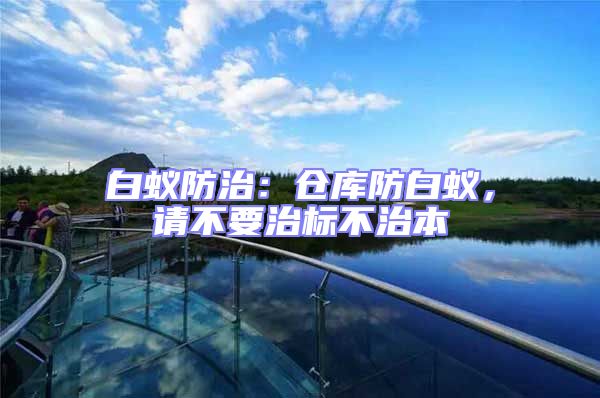 白蟻防治：倉庫防白蟻，請不要治標不治本