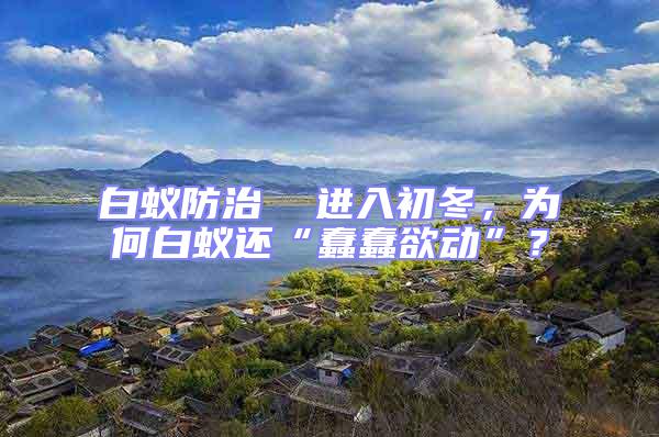 白蟻防治  進(jìn)入初冬，為何白蟻還“蠢蠢欲動”？