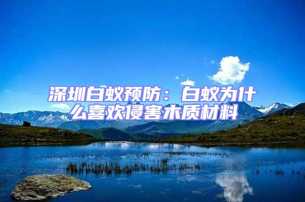 深圳白蟻預防：白蟻為什么喜歡侵害木質材料