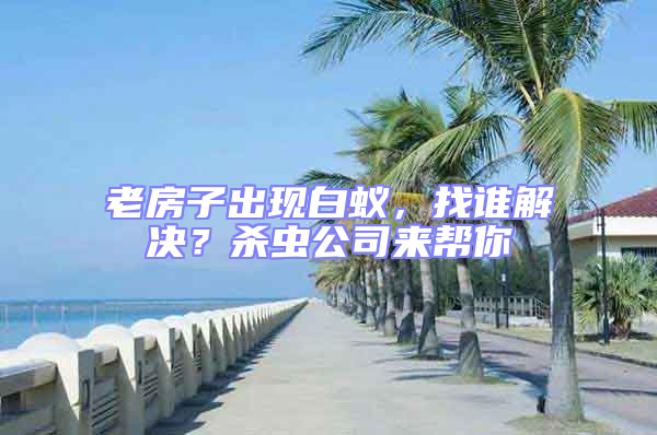 老房子出現白蟻，找誰解決？殺蟲公司來幫你