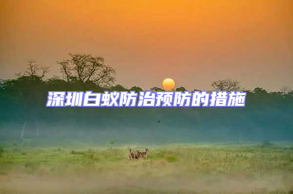 深圳白蟻防治預防的措施