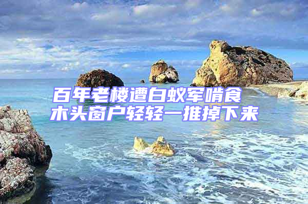 百年老樓遭白蟻軍啃食 木頭窗戶輕輕一推掉下來