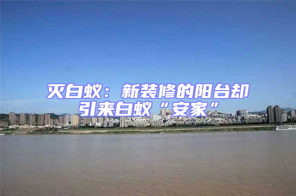 滅白蟻：新裝修的陽(yáng)臺(tái)卻引來白蟻“安家”