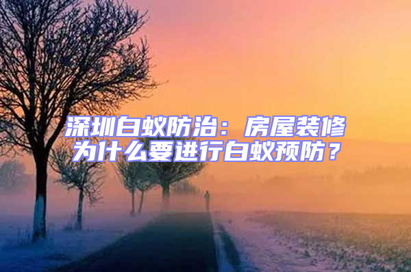 深圳白蟻防治：房屋裝修為什么要進行白蟻預防？