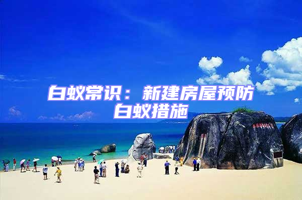 白蟻常識：新建房屋預防白蟻措施