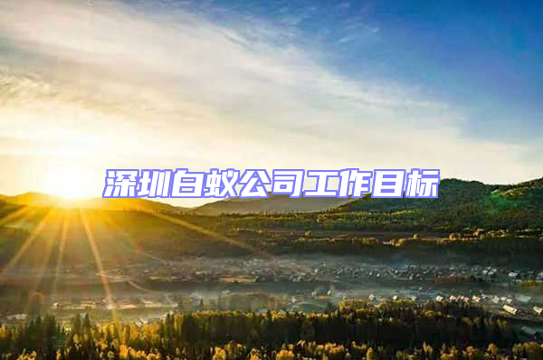 深圳白蟻公司工作目標(biāo)