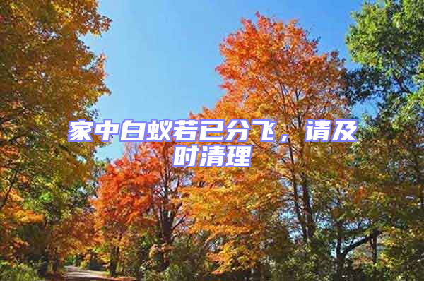 家中白蟻若已分飛，請及時清理