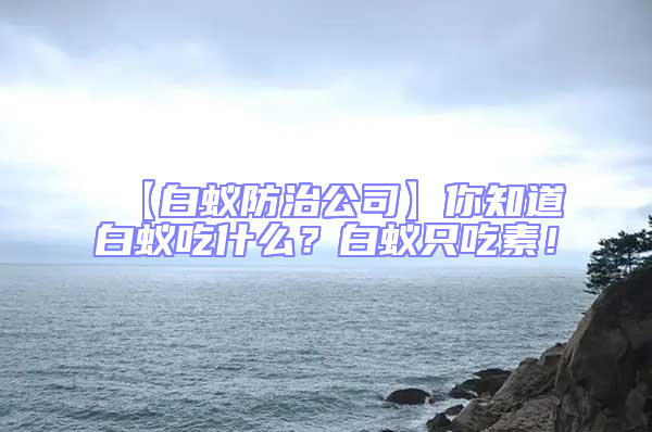 【白蟻防治公司】你知道白蟻吃什么？白蟻只吃素！